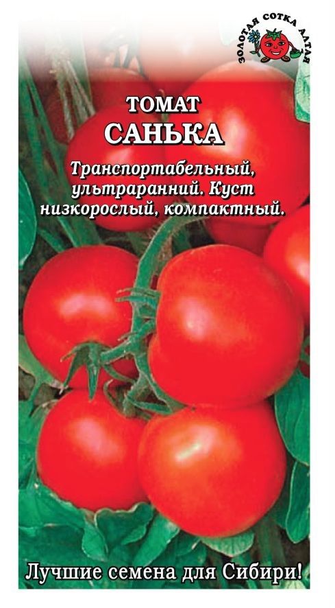 Помидора санька фото отзывы садоводов Сорт томата санька золотой