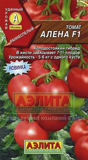 Помидоры аленка описание сорта фото отзывы садоводов Томат Алена 10шт