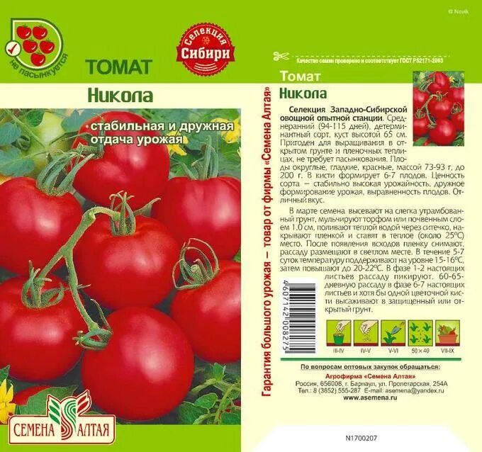 Помидоры алешка описание сорта фото Томат Никола/Сем Алт/цп 20 шт. Сибирская Селекция! Томат, тыква, фасоль. Семена 