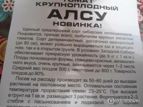 Помидоры алсу описание сорта фото отзывы Отзыв о Семена томата Сибирский Сад "Алсу" Урожай собран, отзыв дополнен. Хороши