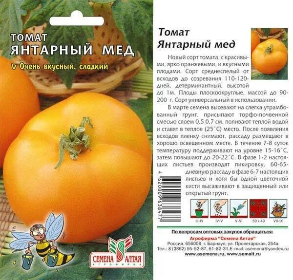 Помидоры алтайский мед описание сорта фото Томат Янтарный 530: описание и характеристика гибридного сорта с фото