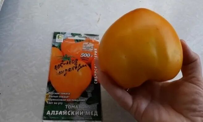 Помидоры алтайский мед отзывы фото Томат Алтайский мед: описание сорта, ОТЗЫВЫ (28), фото, урожайность tomatland.ru