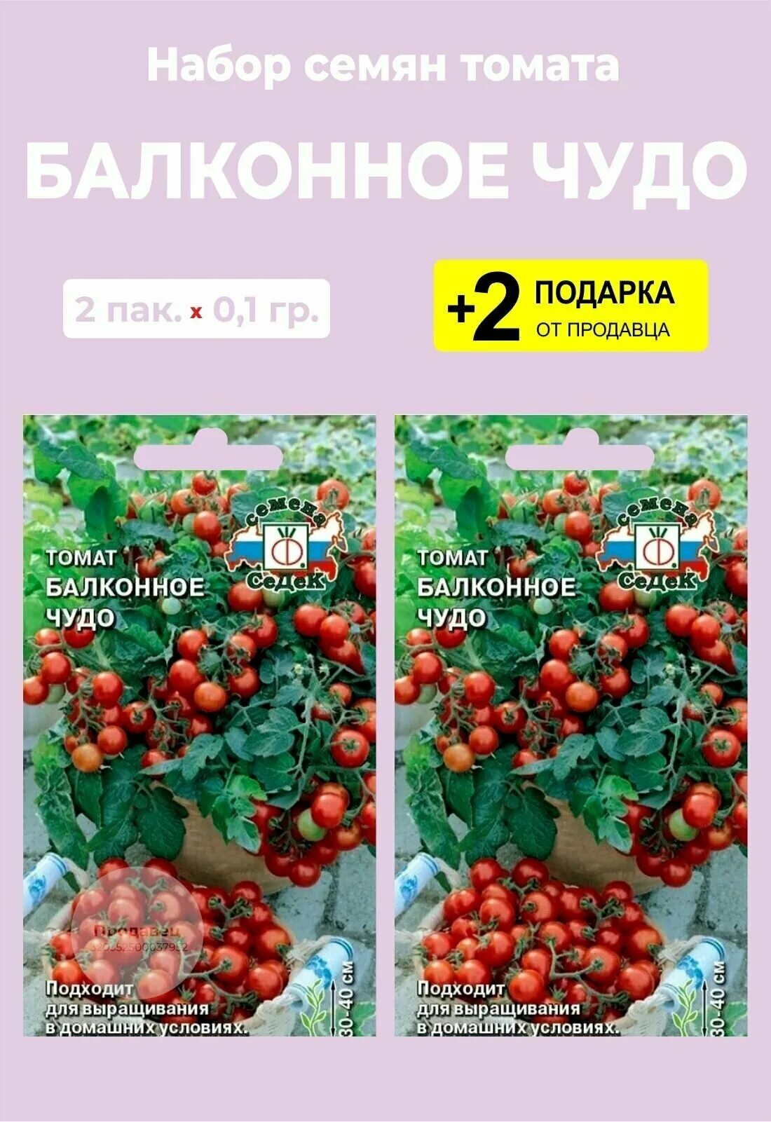 Помидоры балконное чудо описание сорта фото отзывы Семена Томат "Балконное Чудо", 2 упаковки + 2 Подарка от продавца - купить в инт