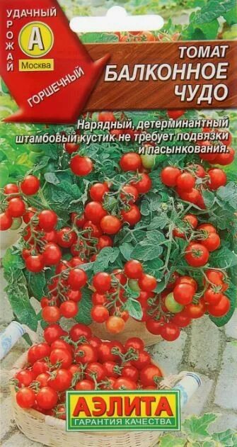 Помидоры балконное чудо описание сорта фото отзывы Семена Томат Балконное чудо 20 шт - купить семена Томат Балконное чудо 20 шт в П