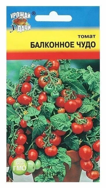 Помидоры балконное чудо описание сорта фото отзывы Семена томат "Балконное чудо", 0,1 г Урожай уДачи 1000716595 купить от 34 руб. в