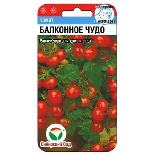 Помидоры балконное чудо описание сорта фото отзывы Томат Балконное чудо Сибирский сад (97163): купить семена почтой в России интерн