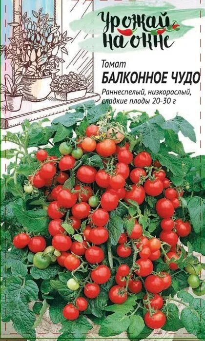 Помидоры балконное чудо отзывы фото Семена Томат Балконное чудо серия Урожай на окне: описание сорта, фото - купить 