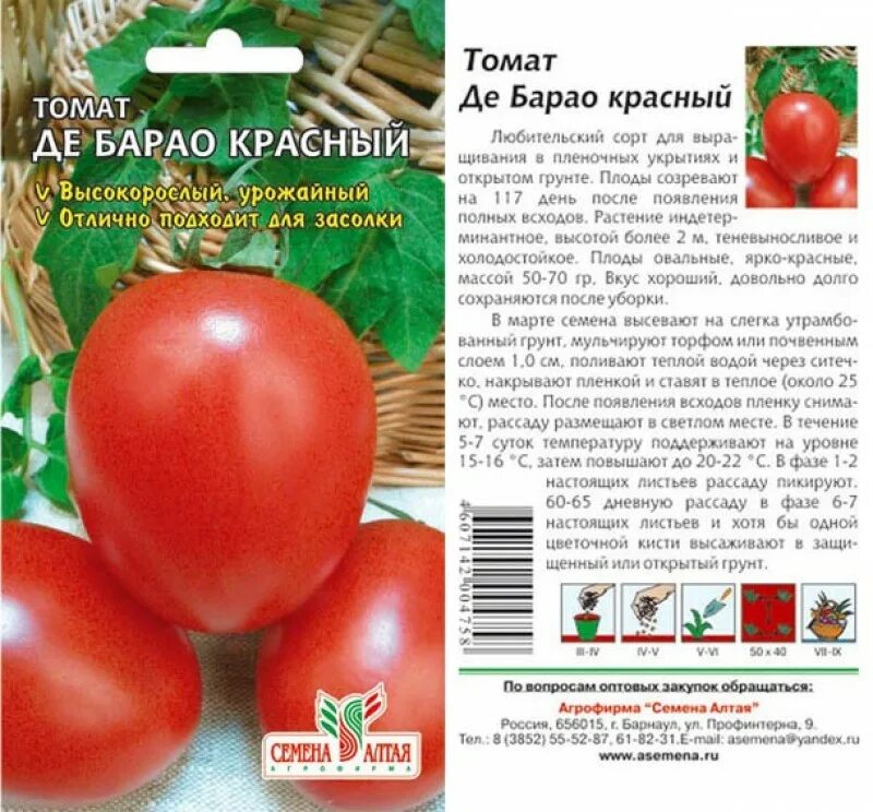 Помидоры барао описание сорта фото Сорт томата де барао отзывы: найдено 89 картинок