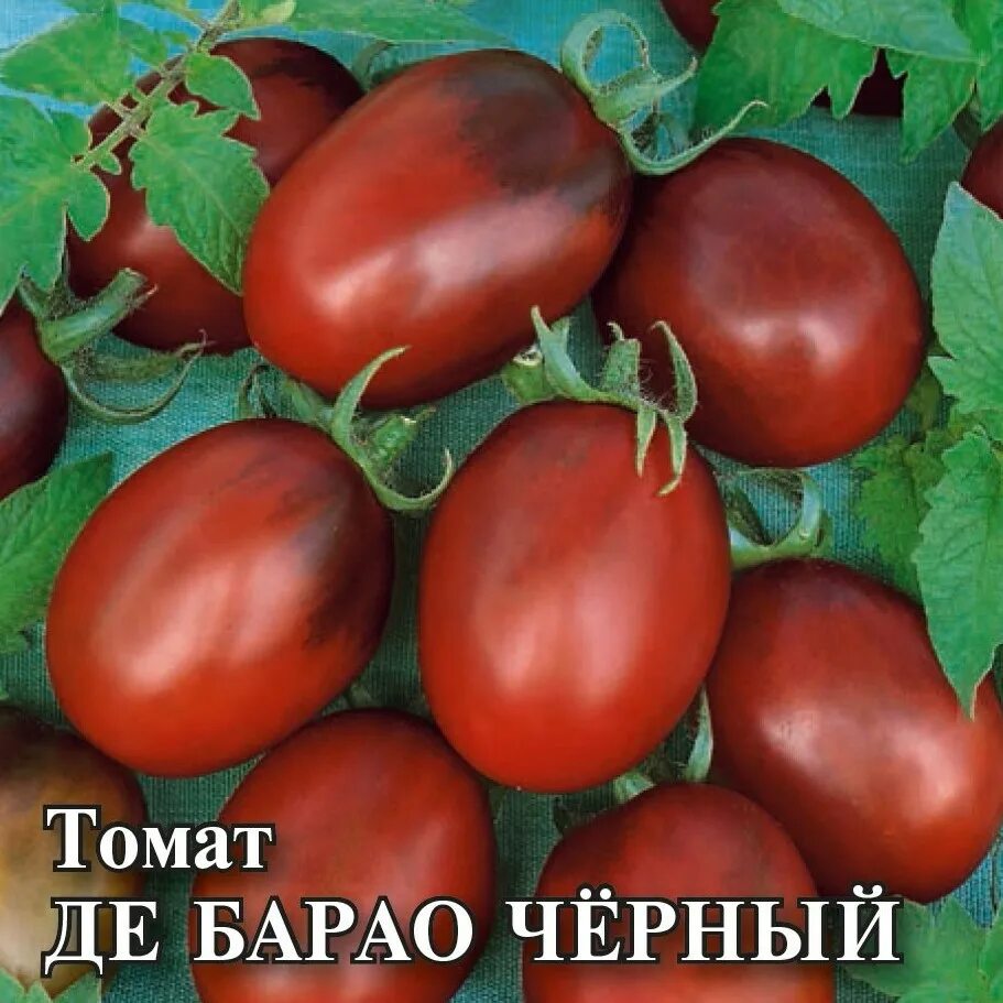 Помидоры барао описание сорта фото Купить Семена томата "Де Барао черный" опт, розница доставка по России