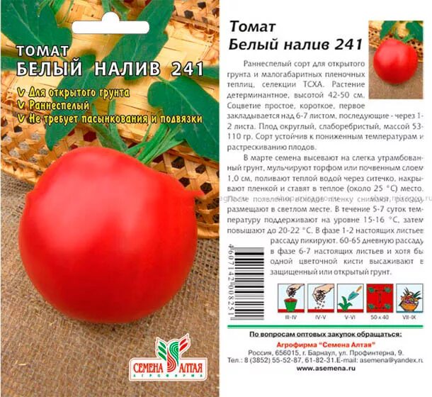 Помидоры белый налив описание отзывы фото Томат "Белый налив" - eТеплица