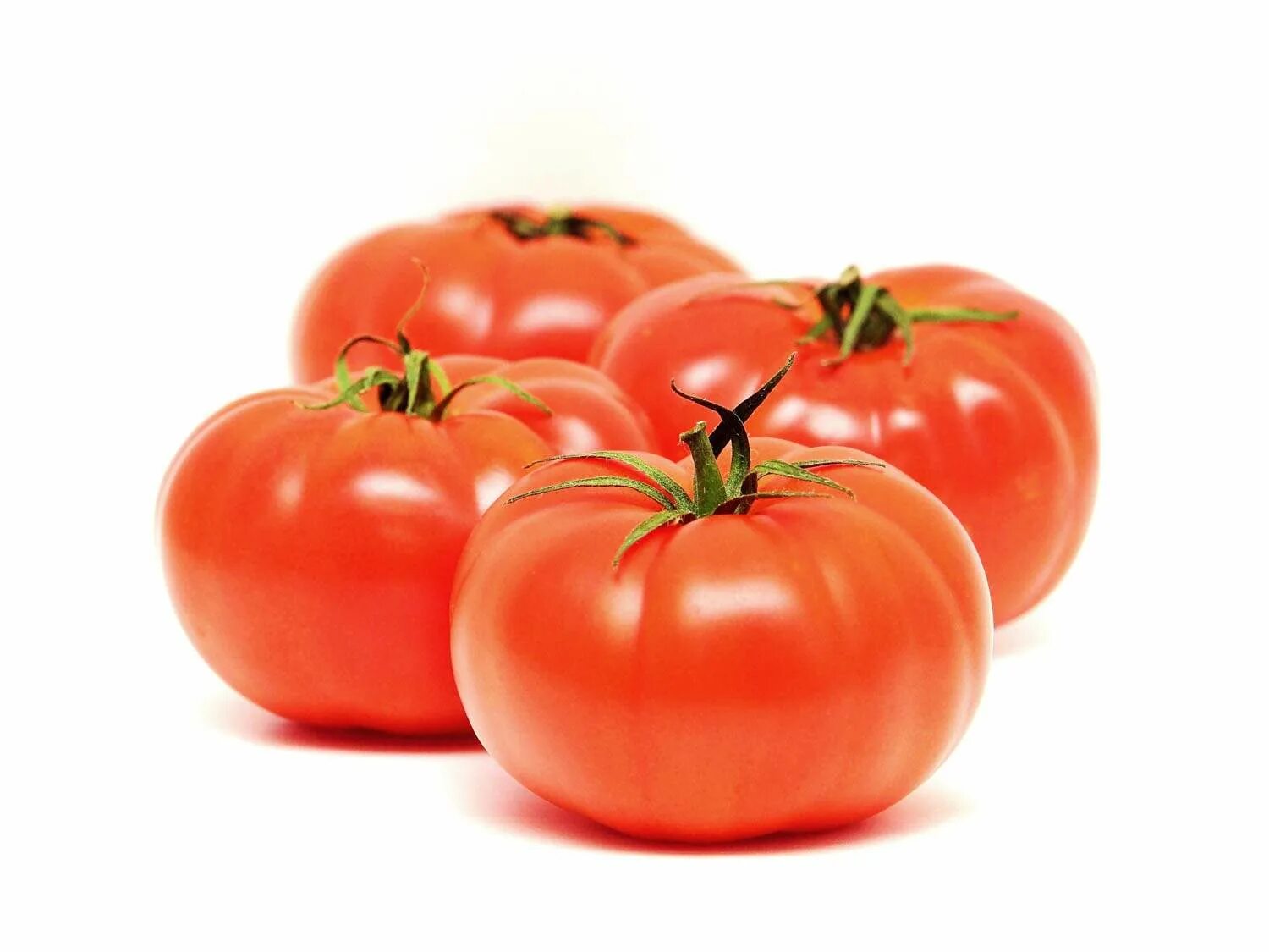 Big Beef Growing tomatoes from seed, Growing tomato plants, Tomato seeds