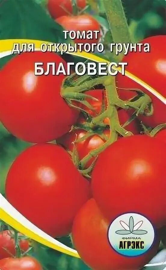 Помидоры благовест описание сорта фото Томат Благовест: описание сорта, характеристика