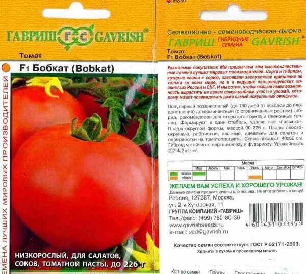 Помидоры бобкат описание сорта фото отзывы Томат Бобкат: характеристика і опис сорту