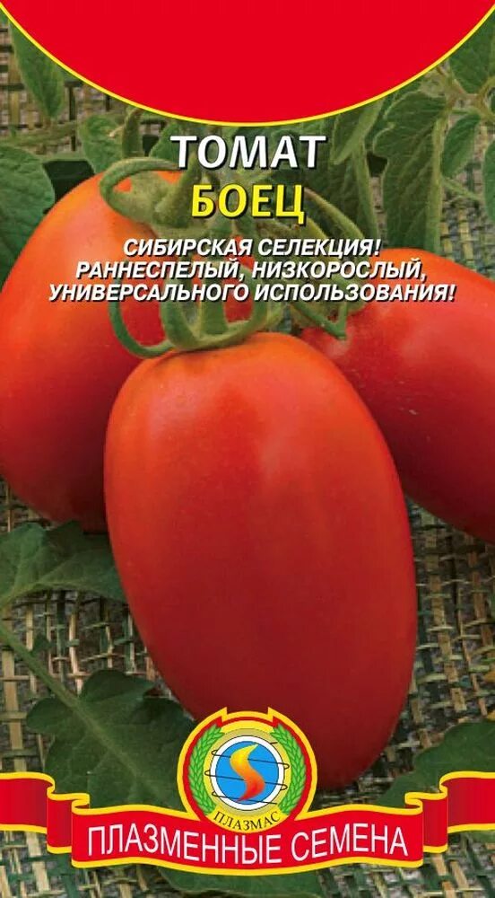 Помидоры боец описание сорта фото Томат БОЕЦ. Плазменные семена