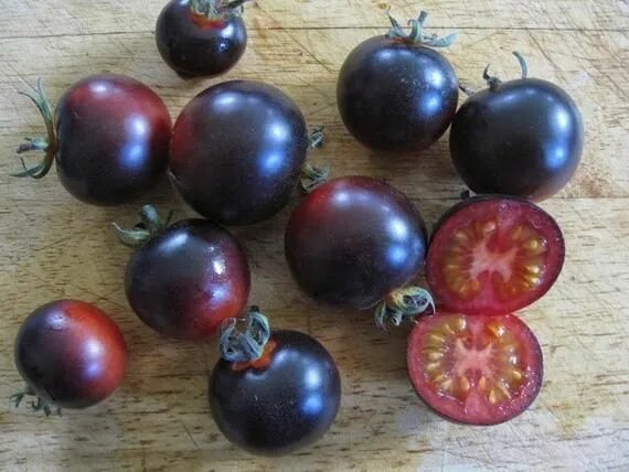 Помидоры черные черри сорта с фото Tomato Seed Bing Wing - Etsy Tomato seeds, Organic seeds, Seeds