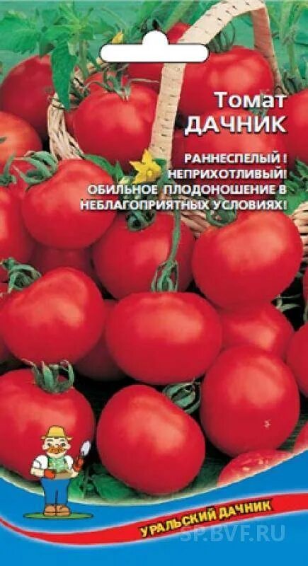 Помидоры дачник описание фото Сочные помидоры сорта Дачник: фото и идеи для сада Зеленый рай Фотогалерея приро