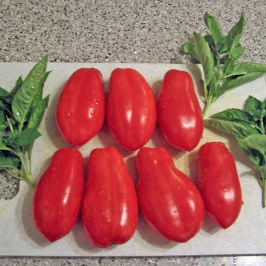 Помидоры дамские пальчики фото Tomato 'San Marzano' Tomato, Garden seeds packets, Tomato seeds