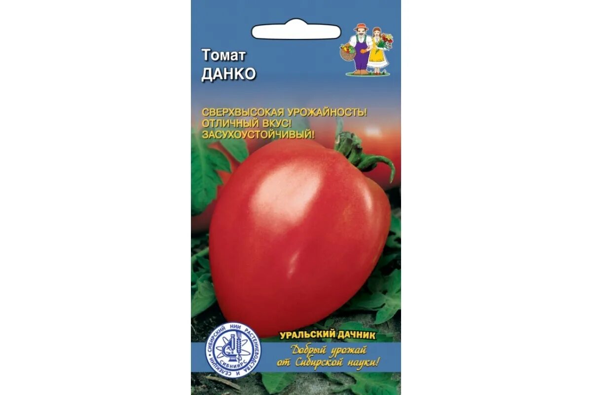 Помидоры данко фото Данко томат Фитостудия-63.ру