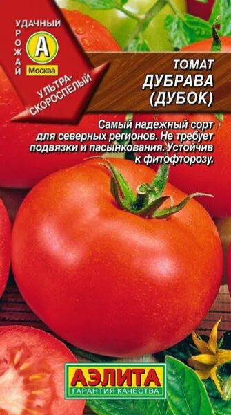 Помидоры дубок описание сорта фото отзывы Томаты Аэлита 1 - купить по выгодным ценам в интернет-магазине OZON (546905248)