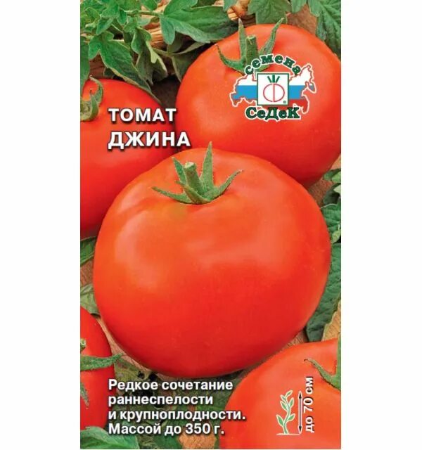 Помидоры джина описание сорта фото Семена томат СеДеК джина 12961 1 уп. 4607116260029 купить по выгодной цене в мар