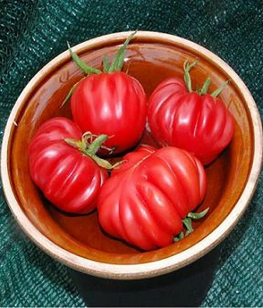 Помидоры гармошка фото Pink Accordian Tomato Seeds Tomato, Food garden, Vegetables