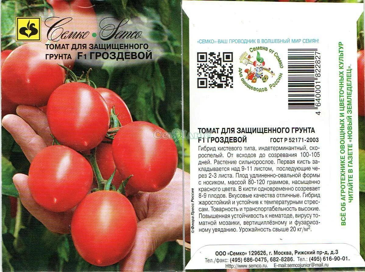 Помидоры гроздевые описание сорта фото отзывы Описание и характеристики сорта томатов гроздевой