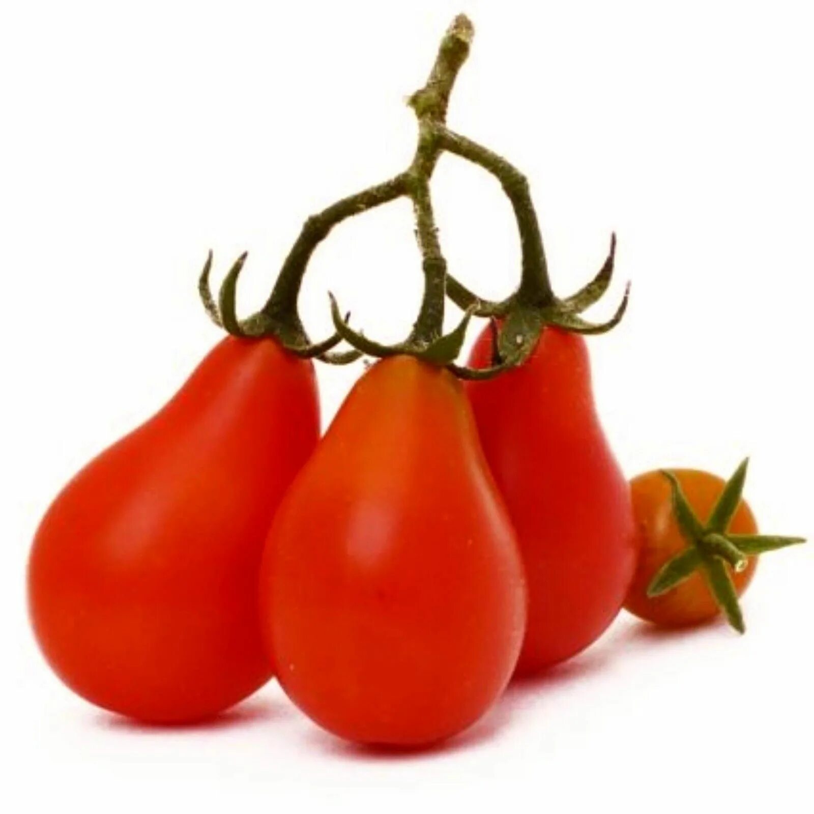 Помидоры грушевидные фото Red Pear Tomato Seeds Red pear, Tomato seeds, Heirloom tomato seeds