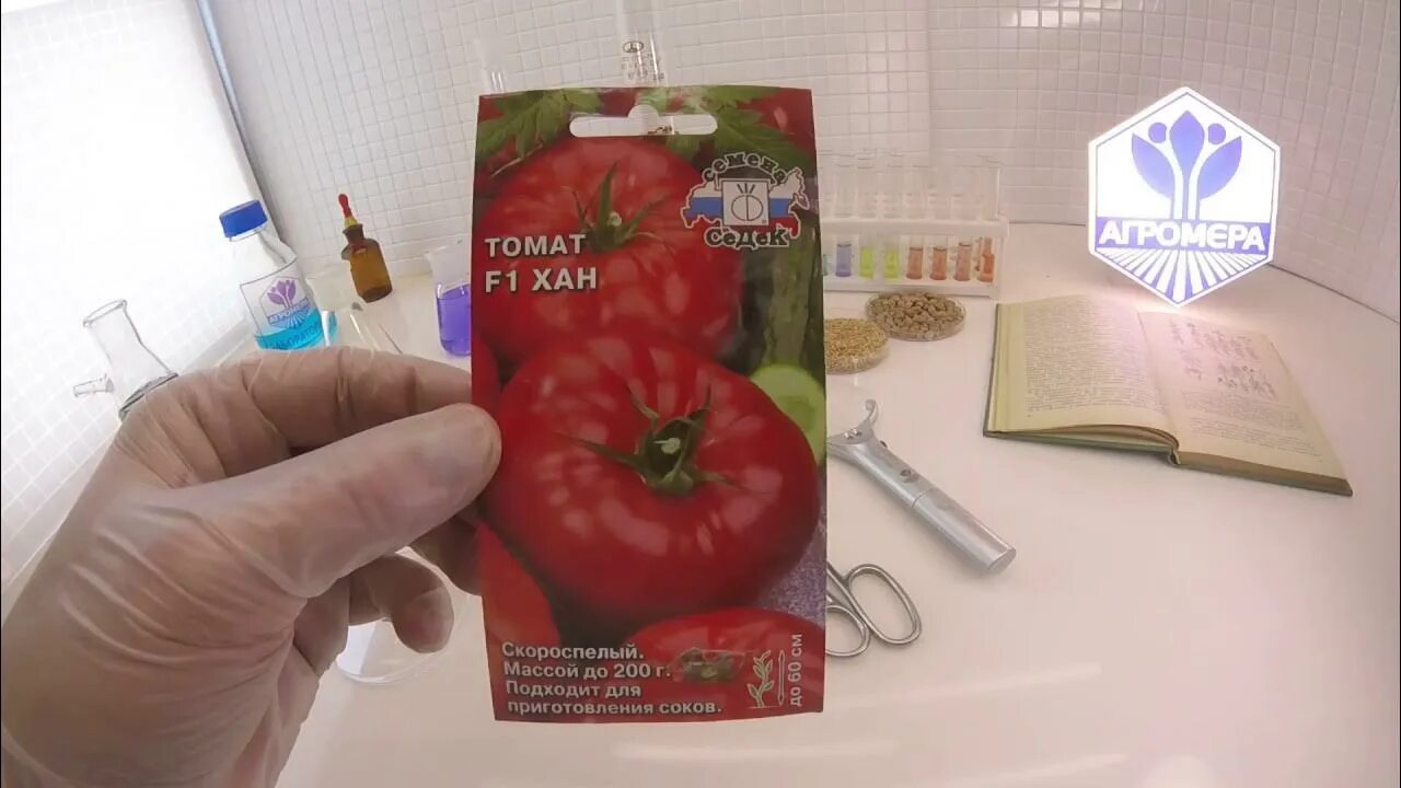 Помидоры хан описание сорта фото отзывы Томат Хан F1. СеДеК - YouTube