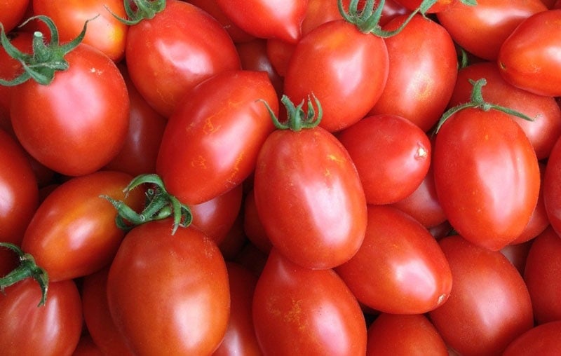 Помидоры итальянский фото The Different Types Of Tomatoes: The Ultimate Guide