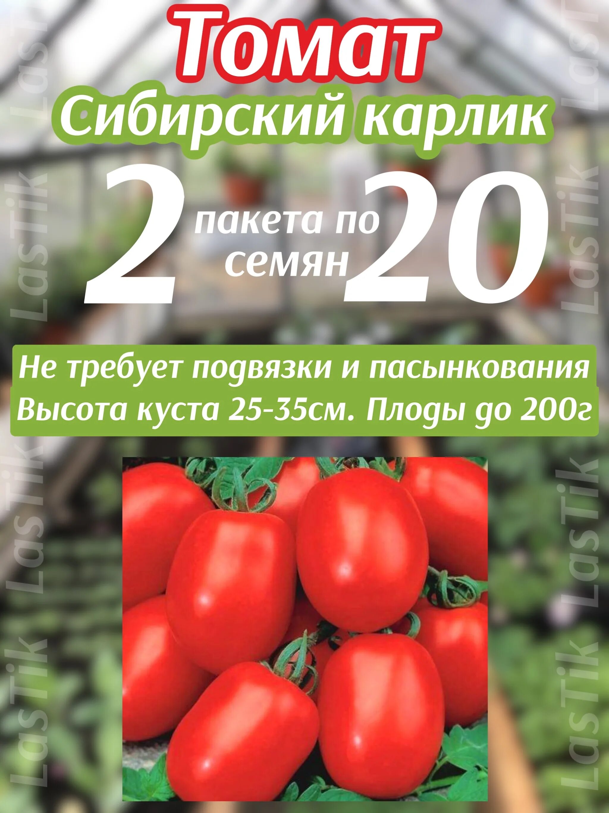 Помидоры карлик описание сорта фото отзывы Томаты Сибирский сад 78416135 - купить по выгодным ценам в интернет-магазине OZO