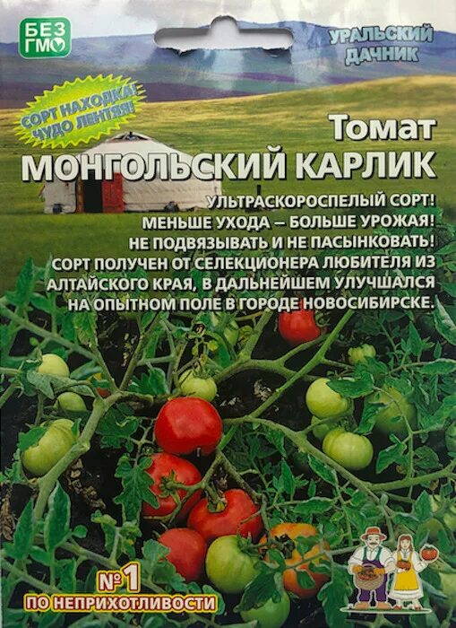 Помидоры карлик описание сорта фото отзывы Уральский дачник томат Монгольский Карлик 2 пакета - купить по выгодным ценам в 