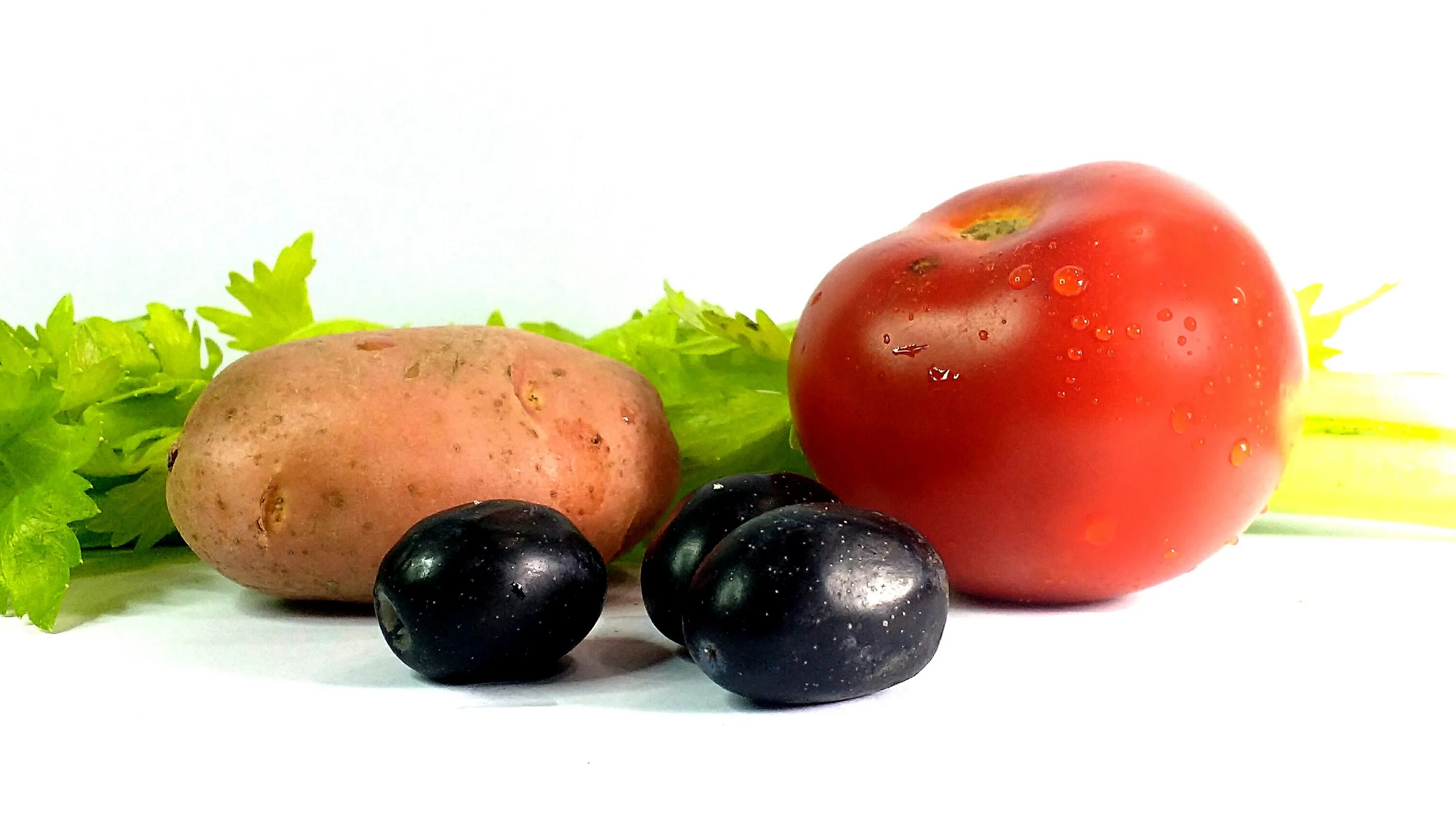 Gardener's Twofer: First Ketchup 'N' Fries Plant Hits U.S. Market Tomato, Plant 