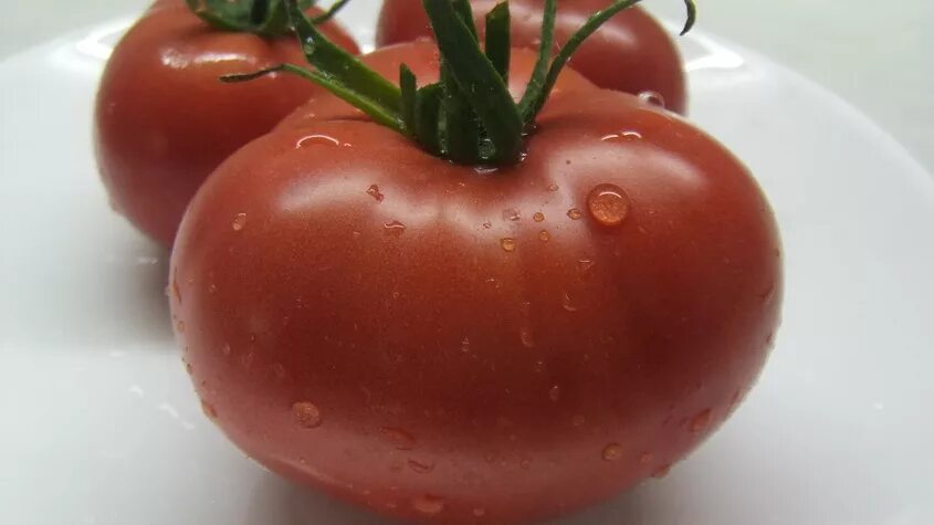 Помидоры картошка фото Томаты 2023-2024 гг. Семена редких сортов томатов