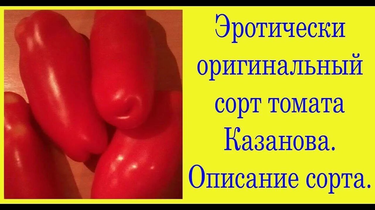 Помидоры казанова фото и описание Казанова томат описание и фото: найдено 87 изображений