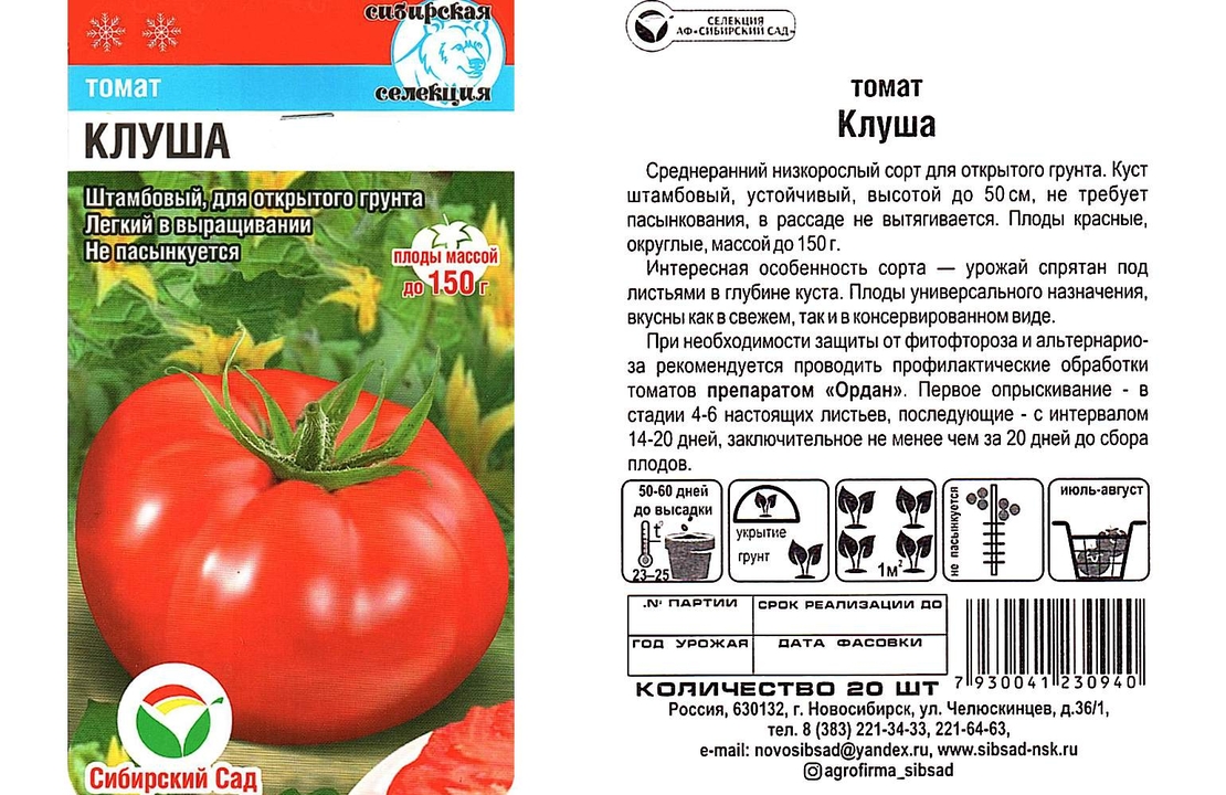 Помидоры клуша описание сорта фото Томат клуша фото - Profhobby.ru