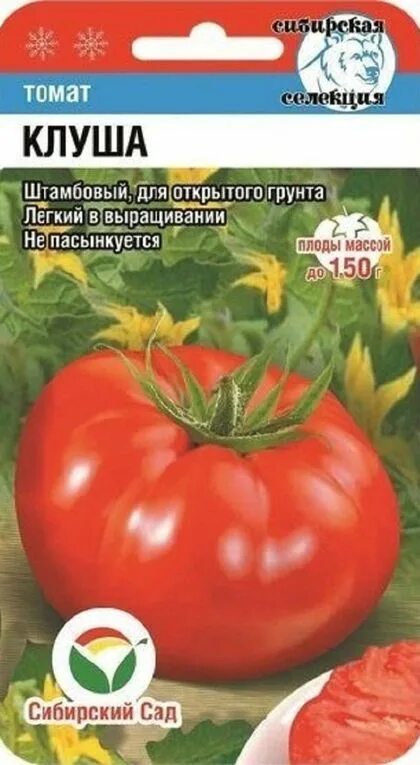 Помидоры клуша описание сорта фото отзывы садоводов Семена Томат Клуша: описание сорта, фото - купить с доставкой или почтой России