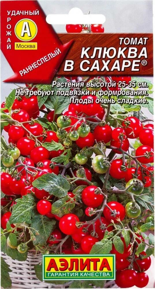 Помидоры клюква в сахаре фото Томат Клюква в сахаре Аэлита Ц - купить в интернет-магазине в Туле и области "БО