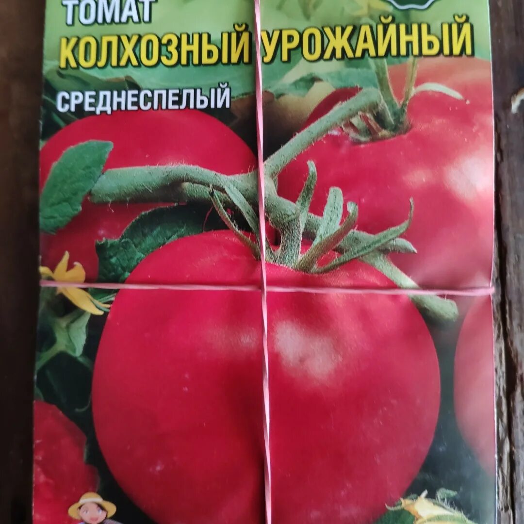 Помидоры колхозные описание сорта фото Семена Томат Колхозный урожайный, цена 3 грн., купить в Харькове - Prom.ua (ID# 