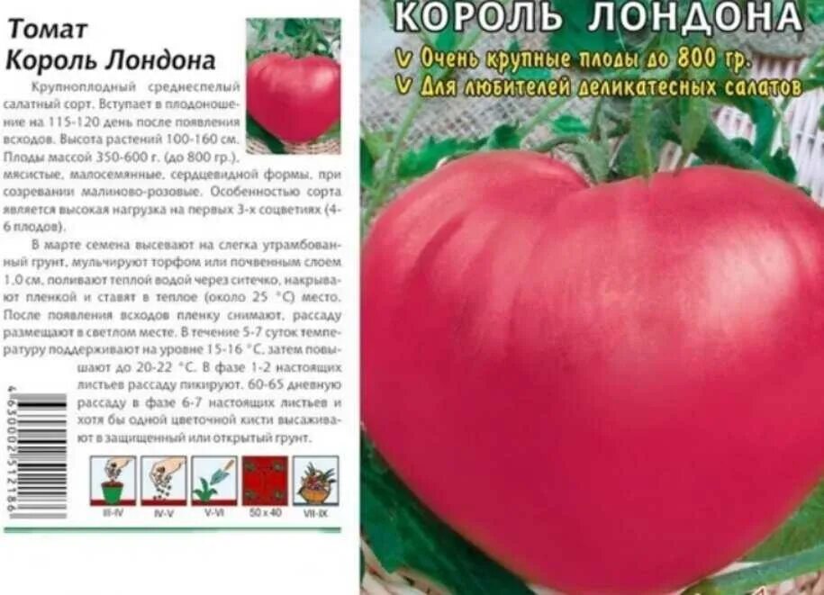 Помидоры король описание сорта фото отзывы Отзыв и характеристика томата король лондон: найдено 88 изображений