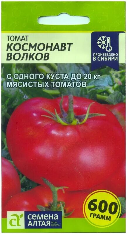 Помидоры космонавт волков описание сорта фото отзывы Москва космонавта волкова - купить по низкой цене на Яндекс Маркете