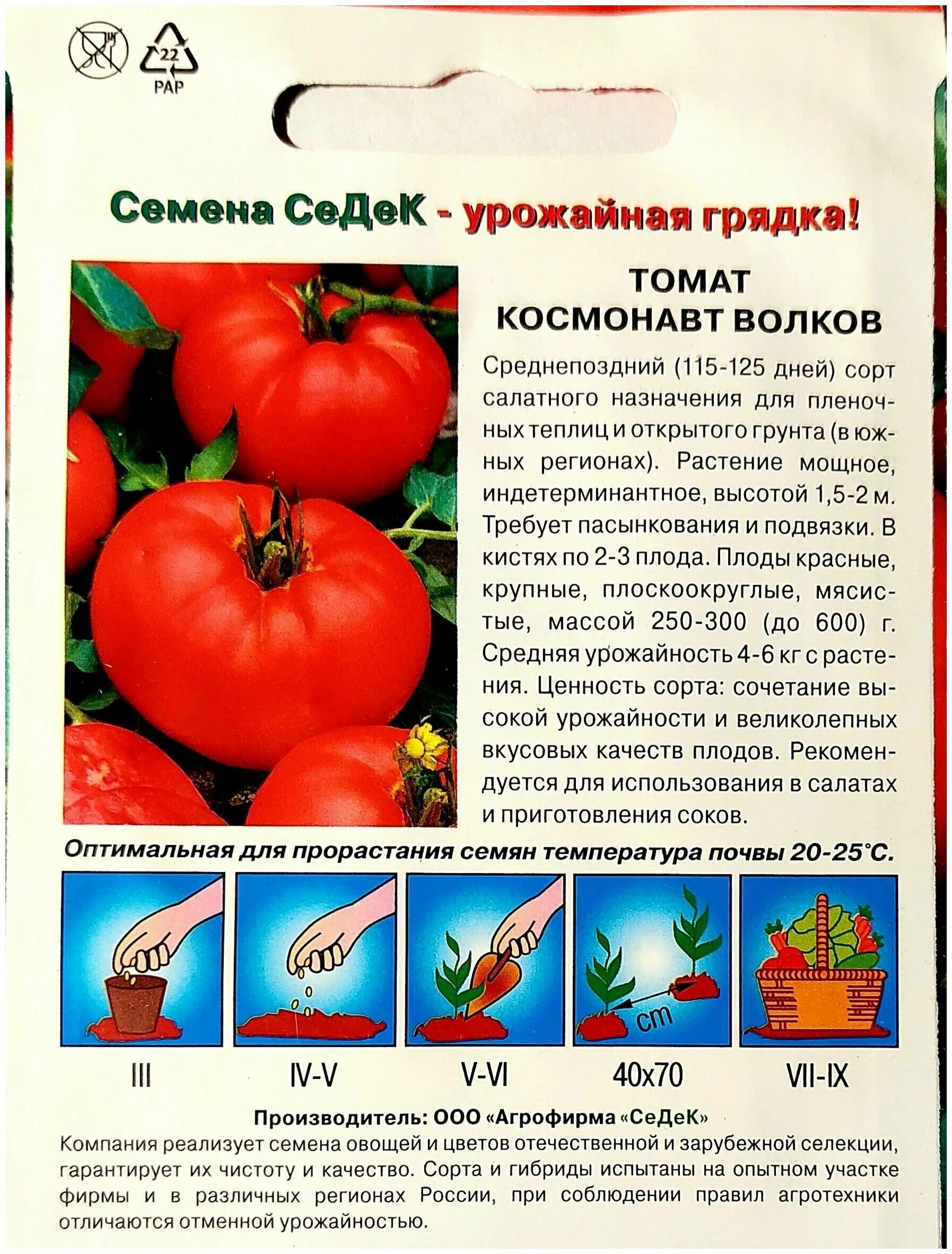 Помидоры космонавта волкова описание сорта фото Томат Космонавт Волков: характеристика и описание сорта, отзывы с фото