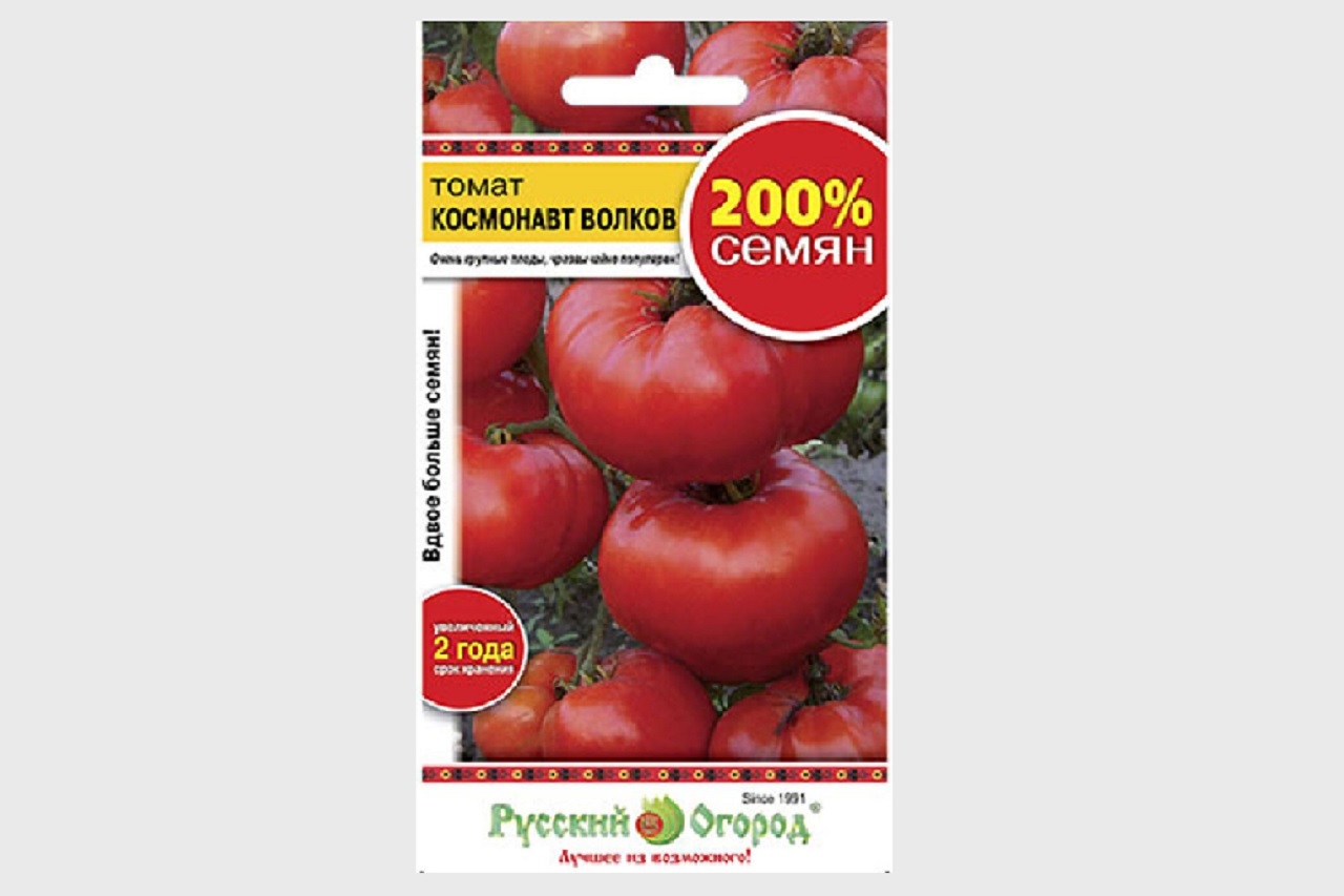 Помидоры космонавта волкова описание сорта фото Томат волкова характеристика и описание сорта фото