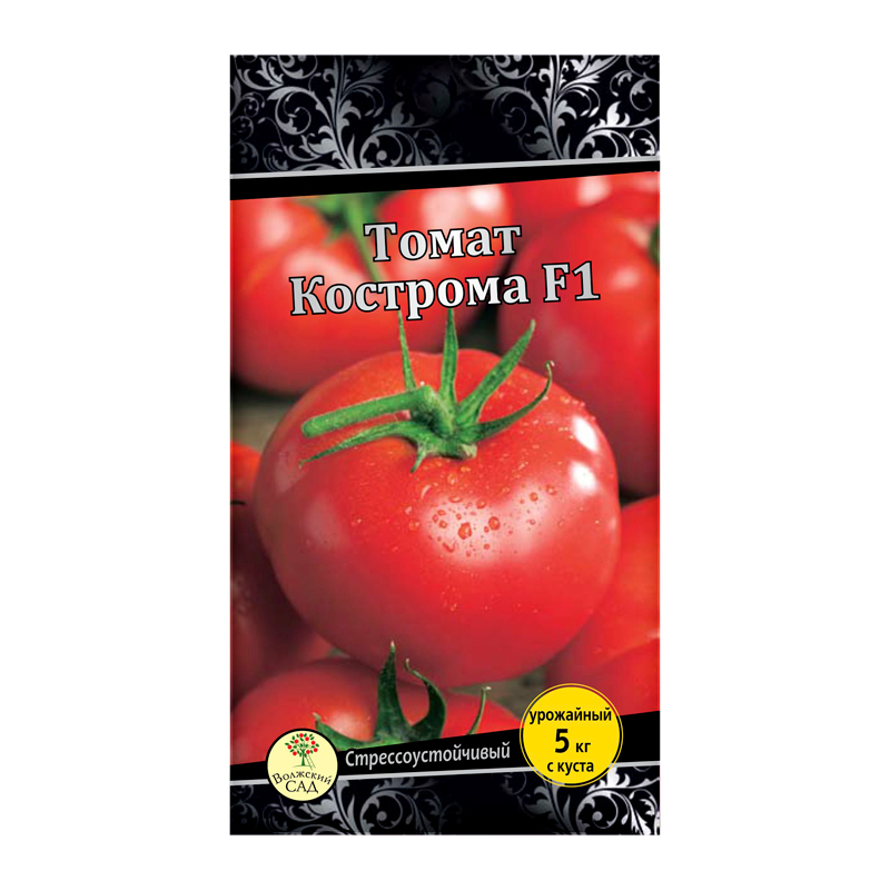 Помидоры кострома описание сорта фото отзывы Томат F1 Кострома 25 шт. 4627192831715 артикул: 117222 Интернет-магазин товаров 