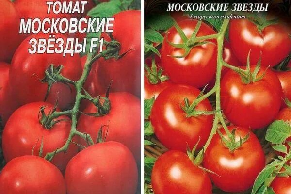 Помидоры кремлевские описание сорта фото отзывы Сорт томат москва - найдено 90 картинок