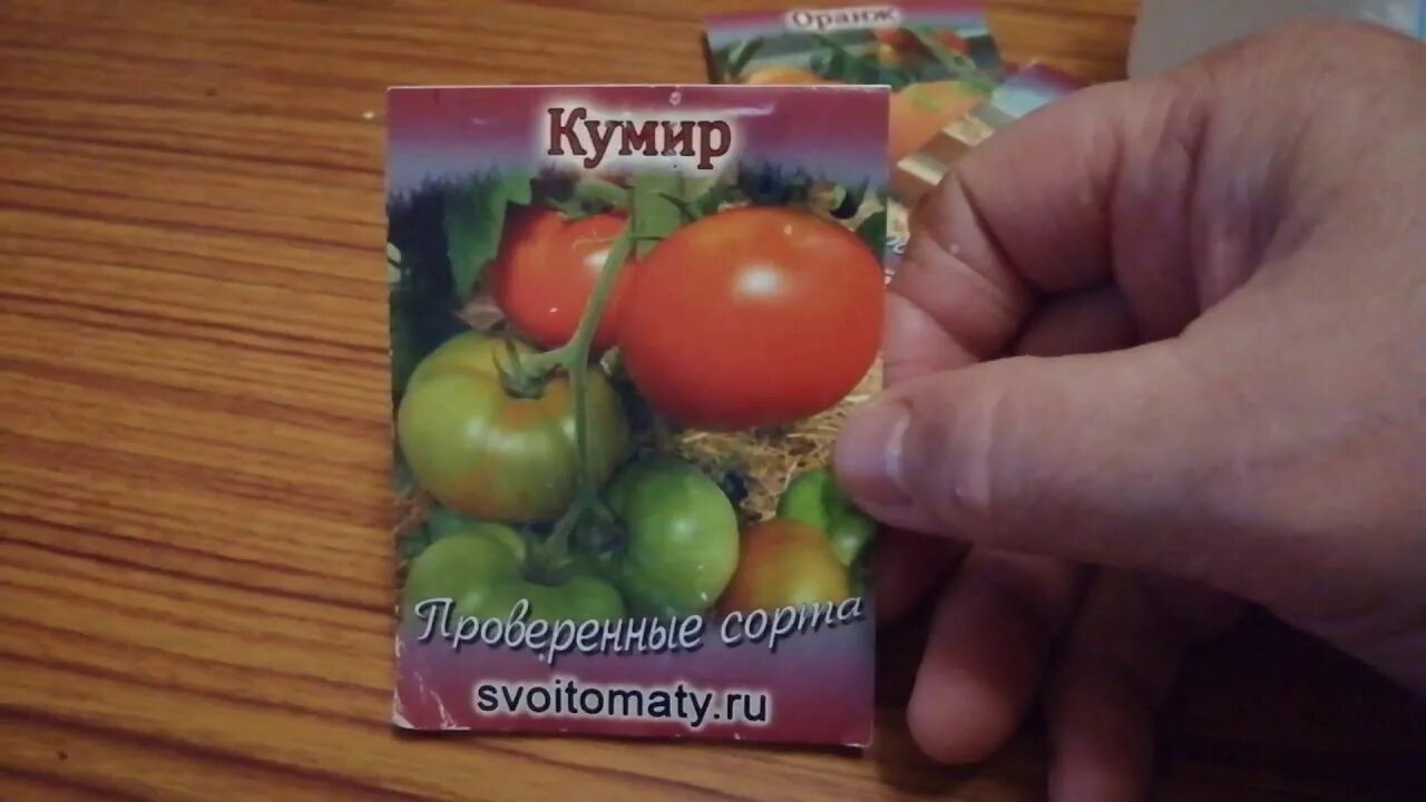Помидоры кумир описание сорта фото отзывы Томат КУМИР детерминантный. - YouTube