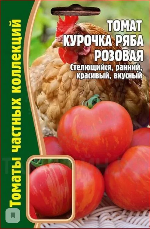 Помидоры курочка ряба фото Томаты Редкие семена Томат Курочка Ряба 10шт_красный - купить по выгодным ценам 