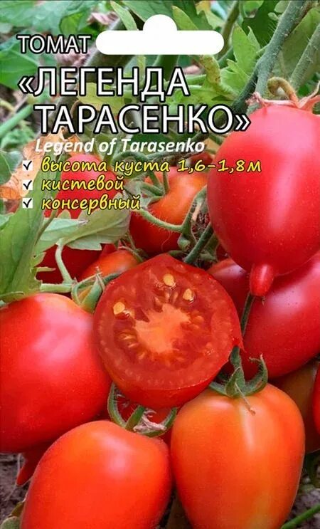 Помидоры легенда тарасенко фото Семена Томат Легенда Тарасенко: описание сорта, фото - купить с доставкой или по