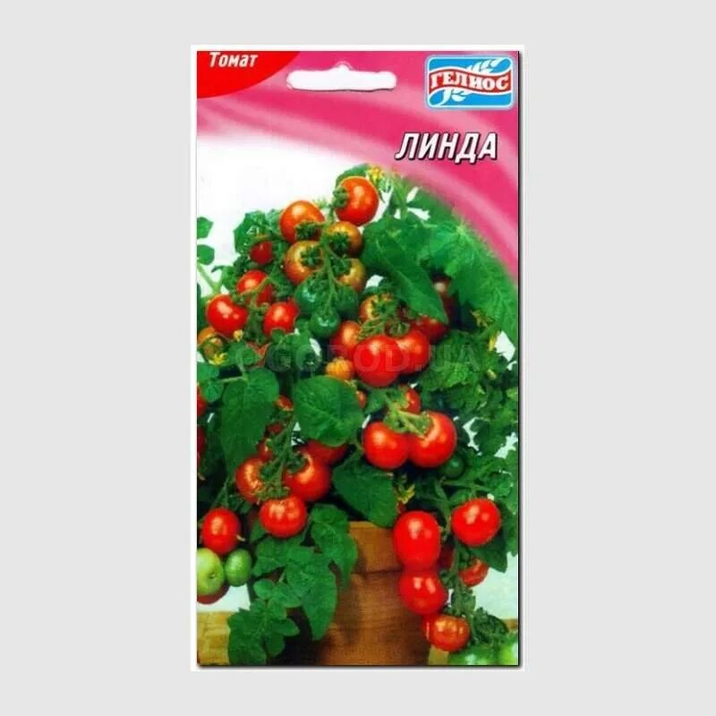 Помидоры линда отзывы фото Томат Линда F1: характеристика и описание детерминантного сорта с фото