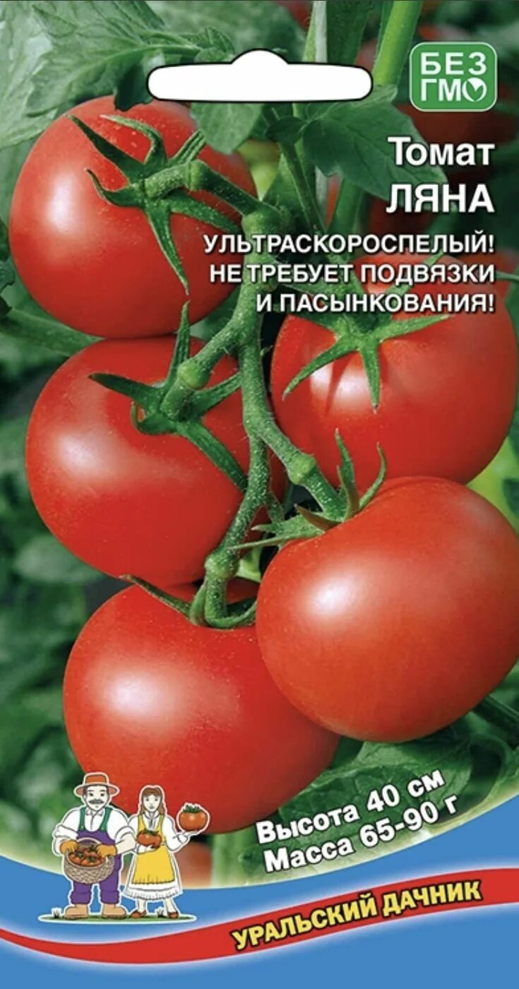 Помидоры ляна отзывы фото Томаты Уральский дачник Томат - купить по выгодным ценам в интернет-магазине OZO