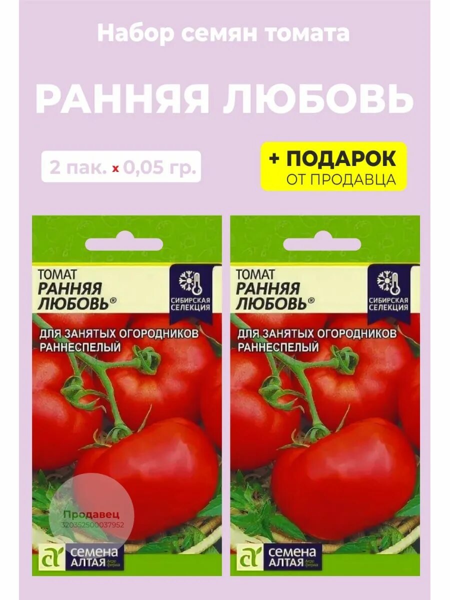 Помидоры любовь описание сорта фото Семена томат "Ранняя любовь" Семена Алтая 99551148 купить за 170 ₽ в интернет-ма